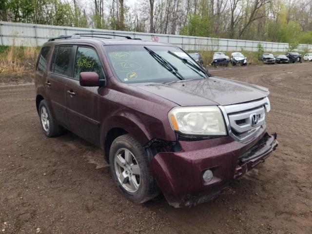 HONDA PILOT EXL 2011 5fnyf4h66bb008836