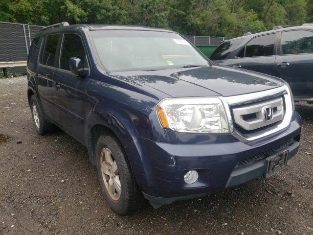 HONDA PILOT EXL 2011 5fnyf4h66bb022932