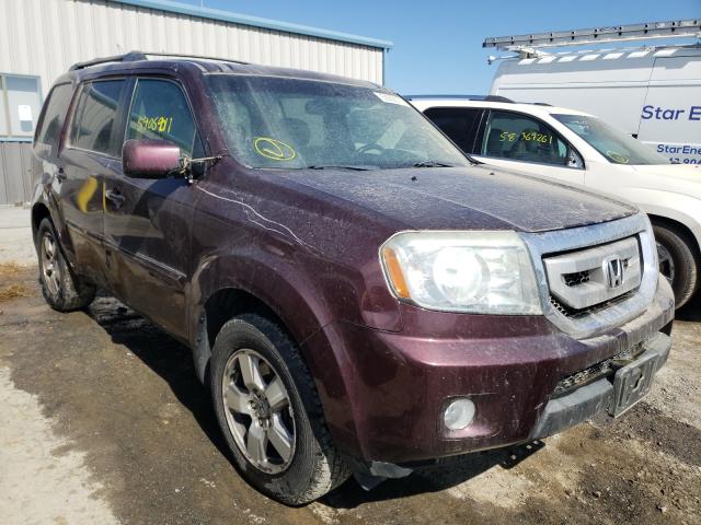 HONDA PILOT EXL 2011 5fnyf4h66bb040914