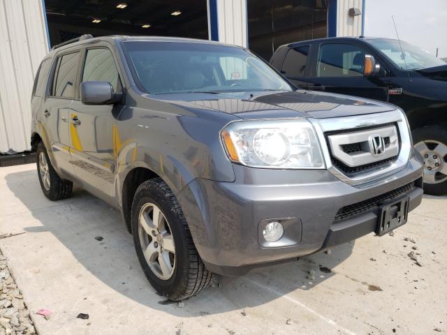 HONDA PILOT EXL 2011 5fnyf4h66bb084122