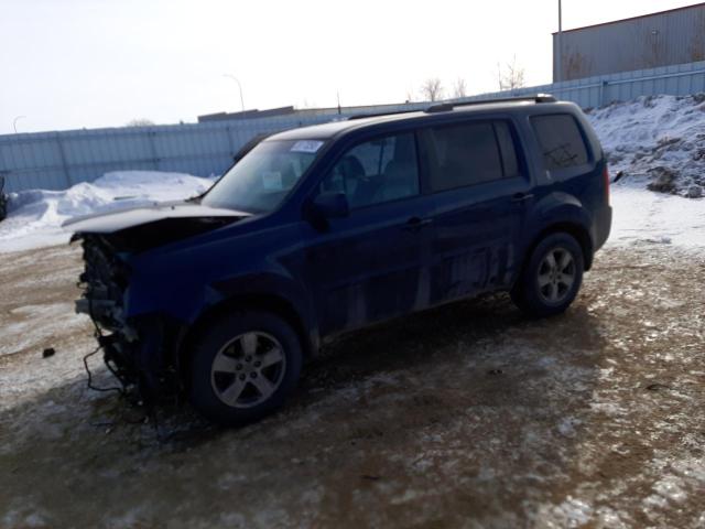 HONDA PILOT EXL 2011 5fnyf4h66bb087330