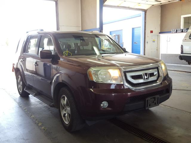 HONDA PILOT EXL 2011 5fnyf4h66bb091930