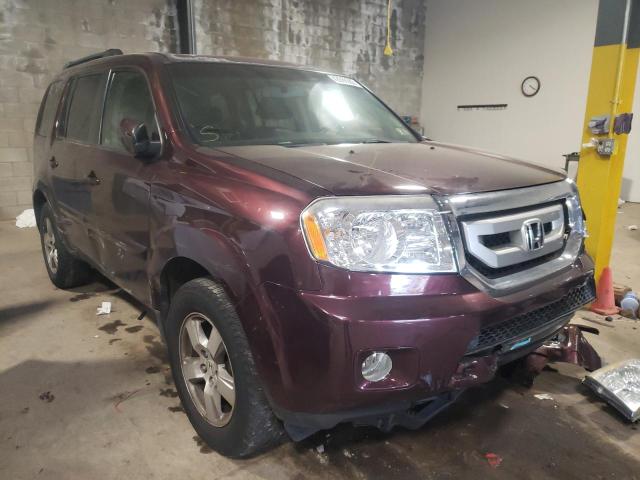 HONDA PILOT EXL 2010 5fnyf4h67ab002266