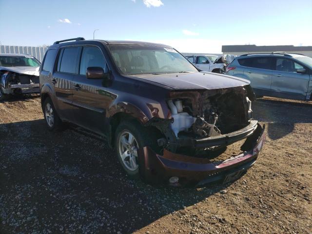 HONDA PILOT EXL 2010 5fnyf4h67ab010710