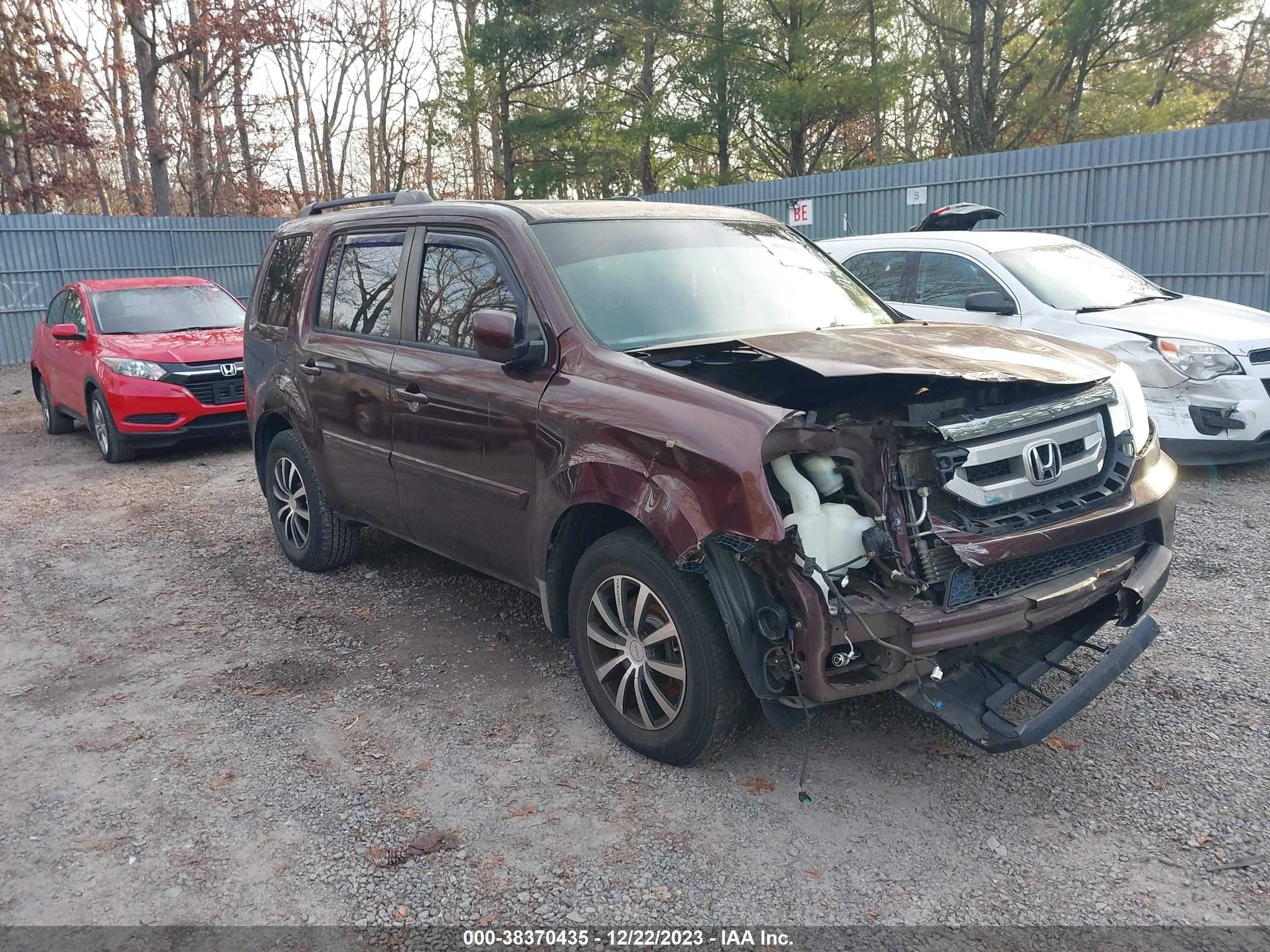 HONDA PILOT 2010 5fnyf4h67ab021383