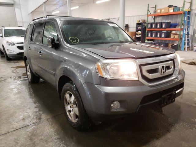 HONDA PILOT EXL 2010 5fnyf4h67ab024042