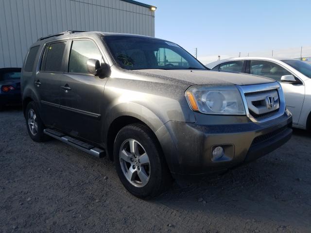 HONDA PILOT EXL 2010 5fnyf4h67ab503559