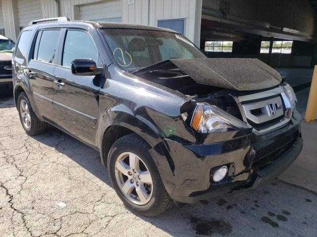 HONDA PILOT EXL 2011 5fnyf4h67bb017254