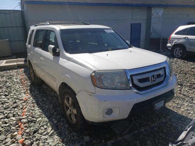 HONDA PILOT EXL 2011 5fnyf4h67bb067426