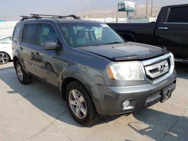 HONDA PILOT EXL 2011 5fnyf4h67bb076790