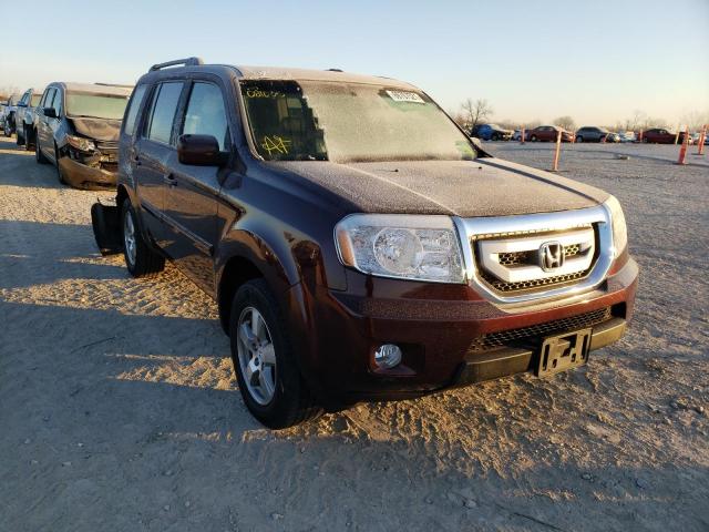 HONDA PILOT EXL 2011 5fnyf4h67bb081035