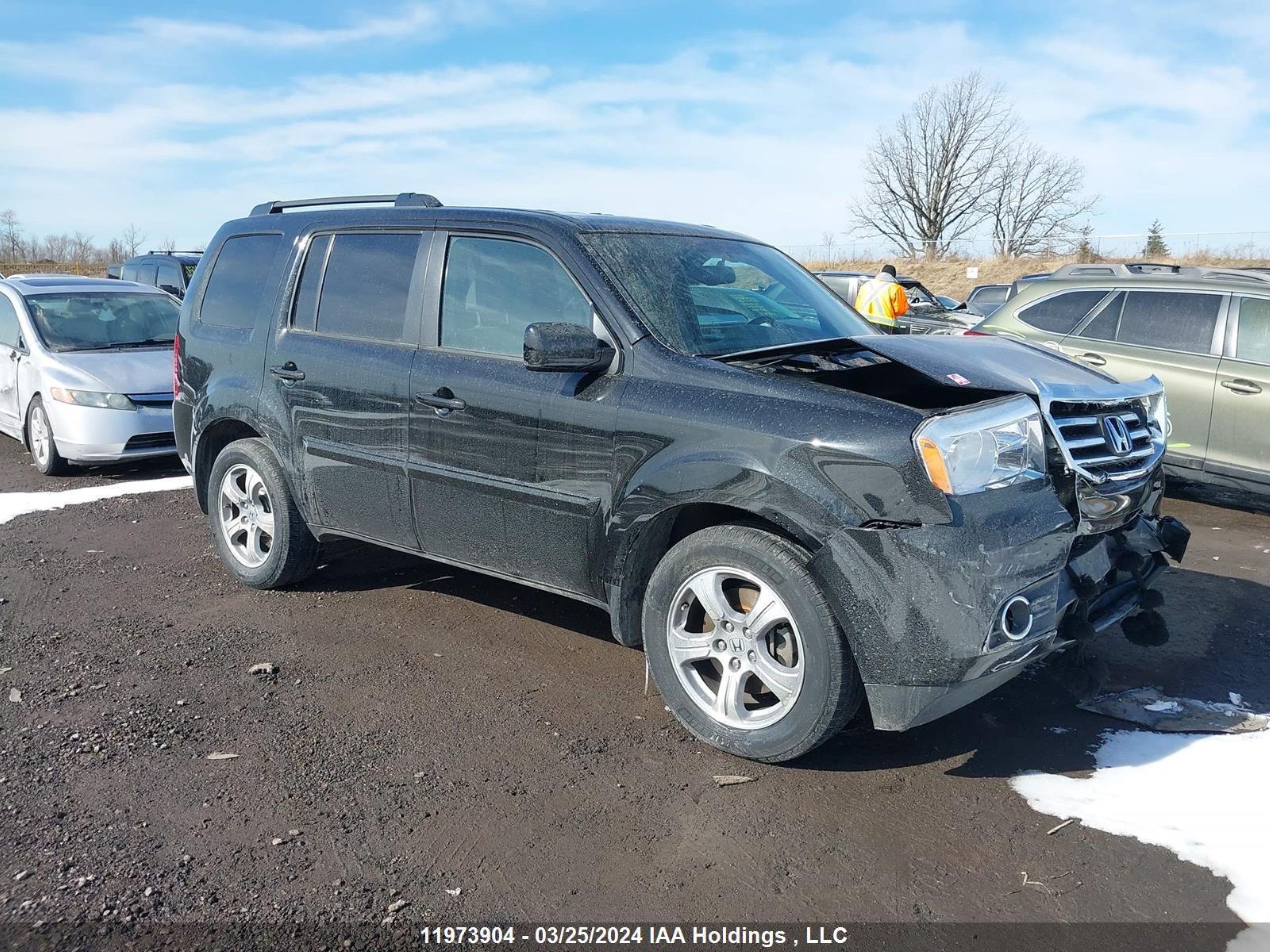 HONDA PILOT 2014 5fnyf4h67eb503776