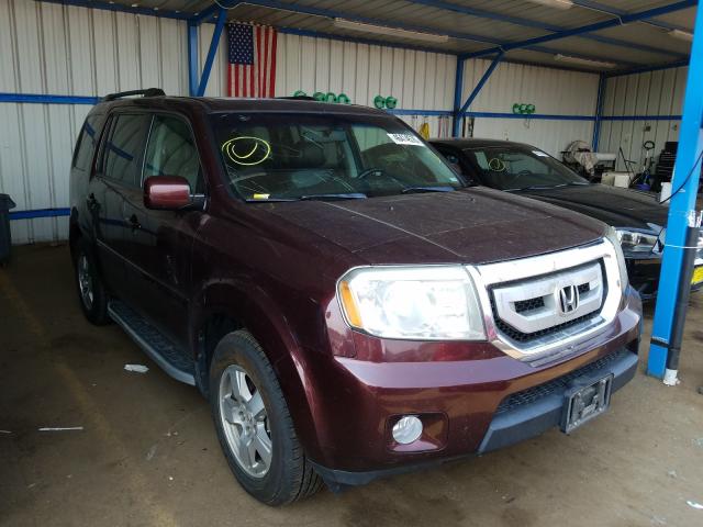 HONDA PILOT EXL 2010 5fnyf4h68ab003507