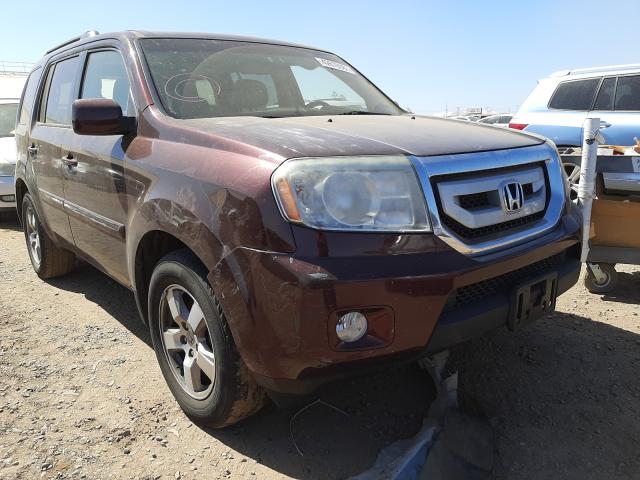 HONDA PILOT EXL 2010 5fnyf4h68ab006150