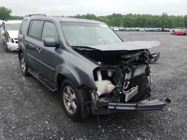 HONDA PILOT EXL 2010 5fnyf4h68ab015026