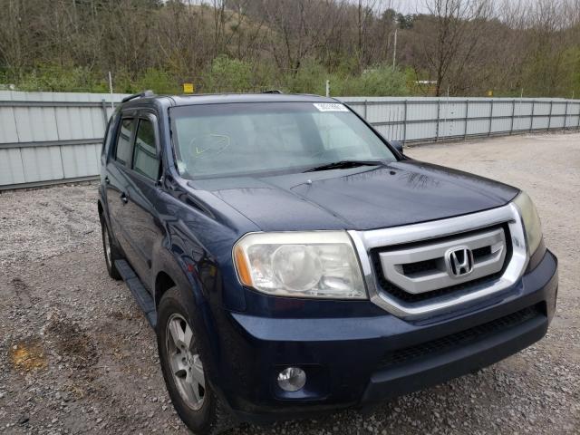 HONDA PILOT EXL 2010 5fnyf4h68ab023370