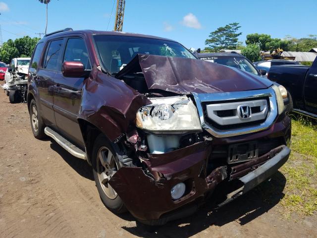 HONDA PILOT EXL 2010 5fnyf4h68ab024924