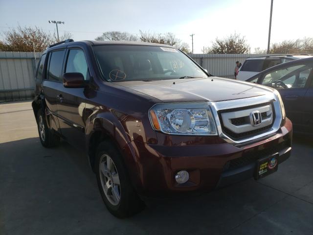 HONDA PILOT EXL 2010 5fnyf4h68ab024969