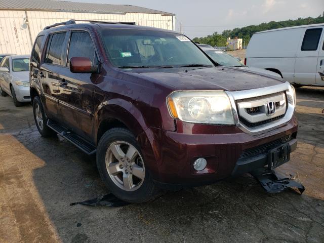 HONDA PILOT EXL 2011 5fnyf4h68bb024908