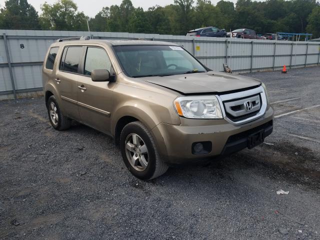 HONDA PILOT EXL 2011 5fnyf4h68bb038615