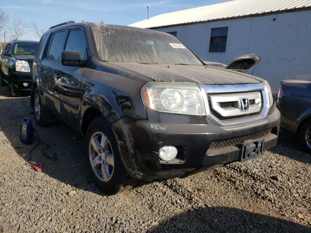 HONDA PILOT EXL 2011 5fnyf4h68bb041627