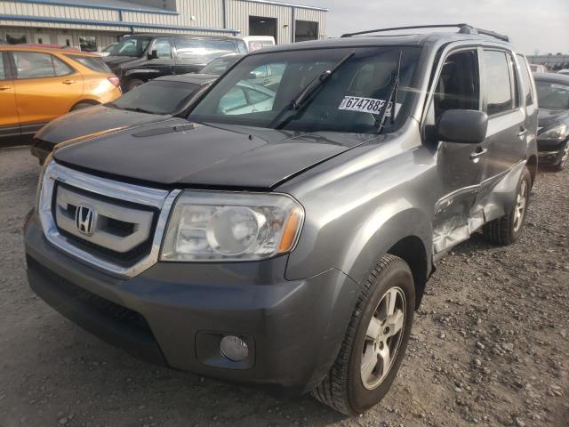 HONDA PILOT EXL 2011 5fnyf4h68bb047735