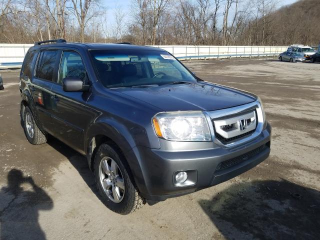 HONDA PILOT EXL 2010 5fnyf4h69ab006819