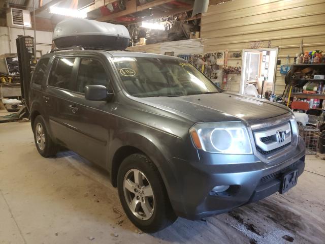 HONDA PILOT EXL 2010 5fnyf4h69ab011972