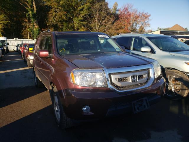 HONDA PILOT EXL 2010 5fnyf4h69ab013818