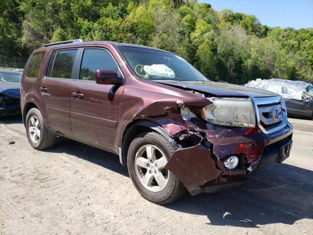 HONDA PILOT EXL 2010 5fnyf4h69ab021241