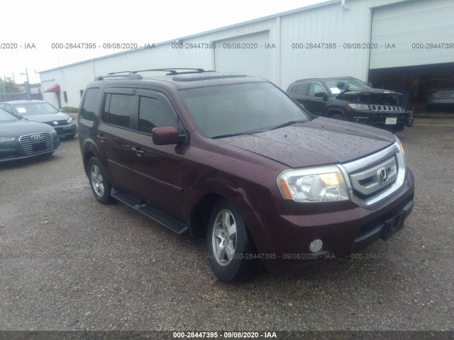 HONDA PILOT 2010 5fnyf4h69ab024916