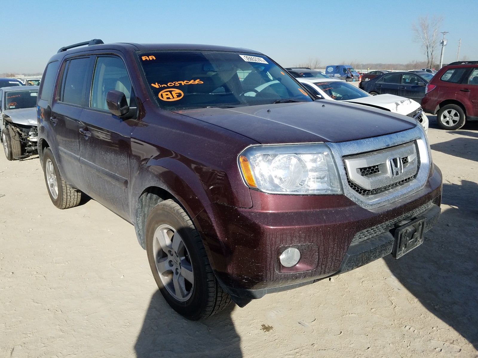 HONDA PILOT EXL 2010 5fnyf4h69ab037066