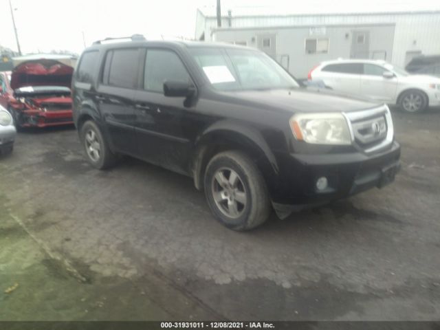 HONDA PILOT 2011 5fnyf4h69bb021516