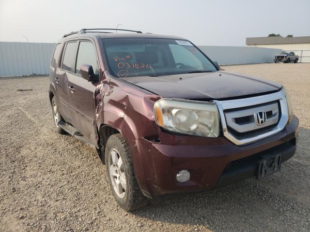 HONDA PILOT EXL 2011 5fnyf4h69bb031026