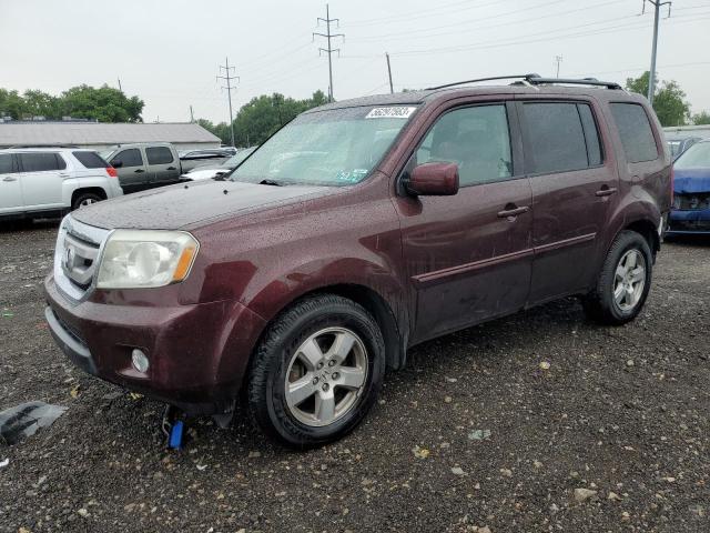 HONDA PILOT EXL 2011 5fnyf4h69bb057495