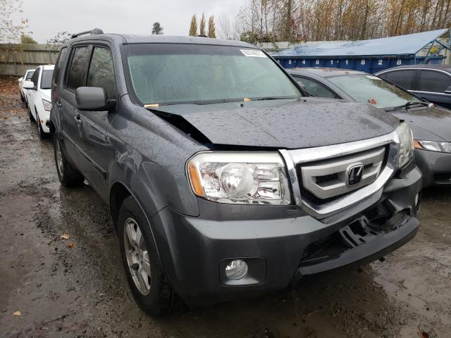 HONDA PILOT EXL 2010 5fnyf4h6xab007199