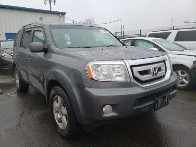 HONDA PILOT EXL 2010 5fnyf4h6xab008384