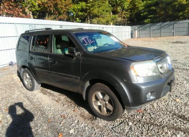 HONDA PILOT 2010 5fnyf4h6xab015058