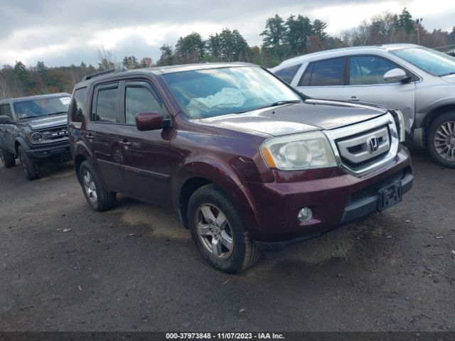 HONDA PILOT 2010 5fnyf4h6xab020454