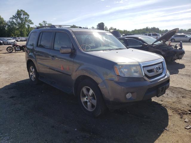 HONDA PILOT EXL 2010 5fnyf4h6xab032622