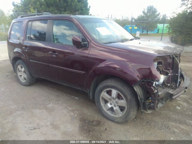 HONDA PILOT 2010 5fnyf4h6xab034094