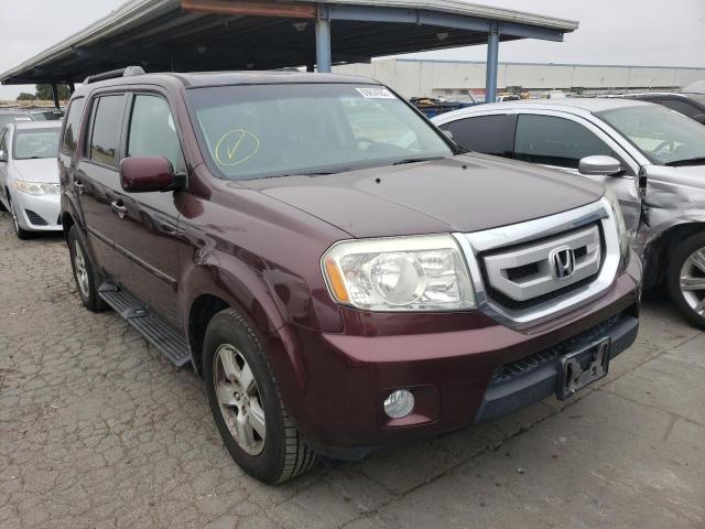 HONDA PILOT EXL 2011 5fnyf4h6xbb008077