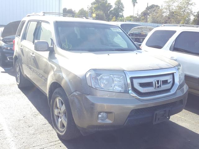 HONDA PILOT EXL 2011 5fnyf4h6xbb058025