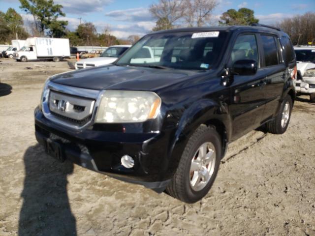 HONDA PILOT EXL 2011 5fnyf4h6xbb065685