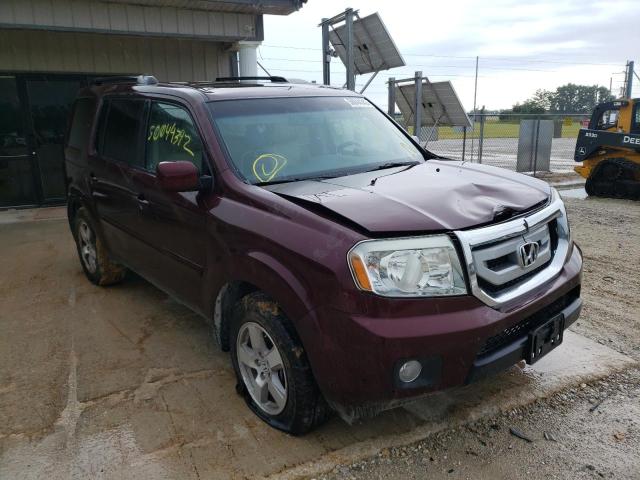 HONDA PILOT EXL 2011 5fnyf4h6xbb082518