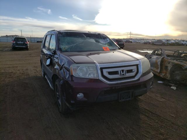 HONDA PILOT EXLN 2011 5fnyf4h70bb033160