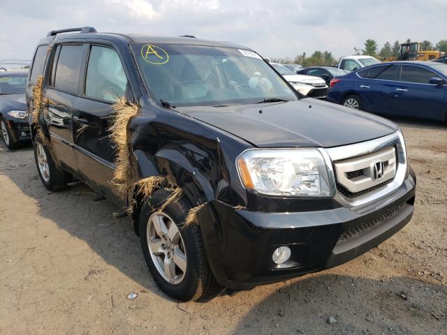 HONDA PILOT EXLN 2011 5fnyf4h70bb101604