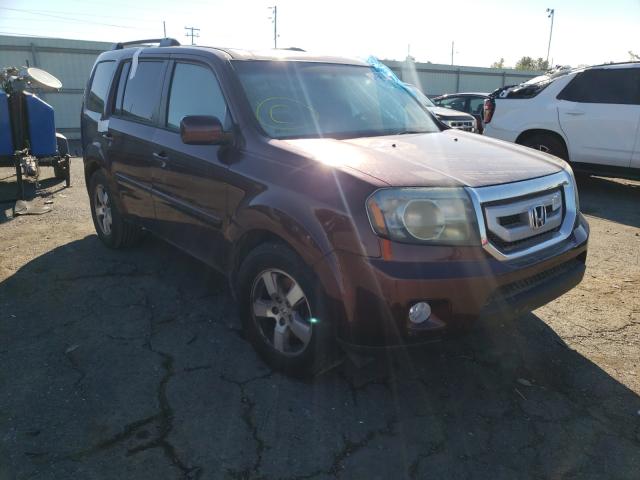 HONDA PILOT EXLN 2011 5fnyf4h71bb047195