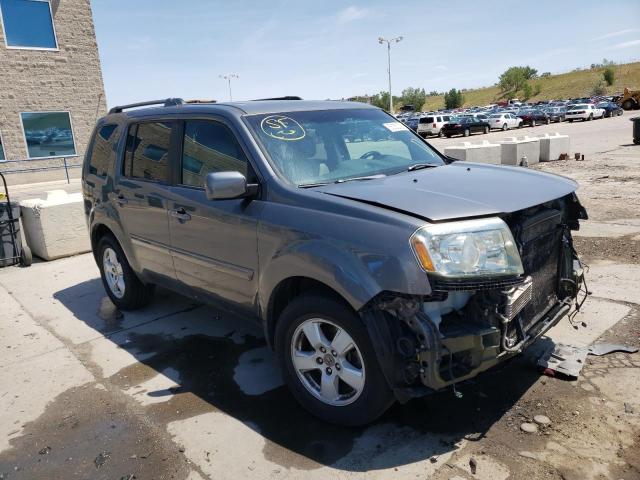 HONDA PILOT EXLN 2011 5fnyf4h71bb063736