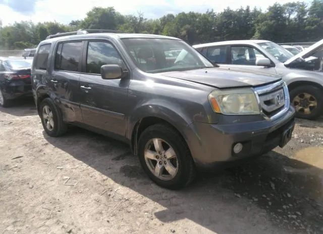 HONDA PILOT 2011 5fnyf4h71bb098258